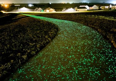 Beton Luminescent