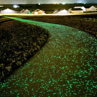 Beton Luminescent